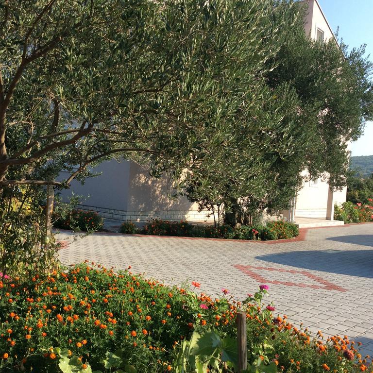 Apartments Franov Bibinje Dış mekan fotoğraf