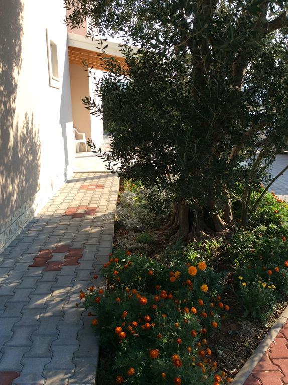 Apartments Franov Bibinje Dış mekan fotoğraf